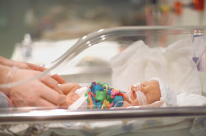 Premature Infant